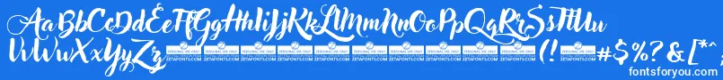 AdleryTrial Font – White Fonts on Blue Background
