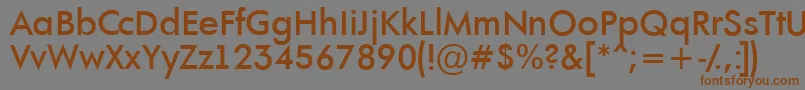 AFuturaortoltBold Font – Brown Fonts on Gray Background