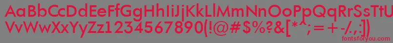 AFuturaortoltBold Font – Red Fonts on Gray Background