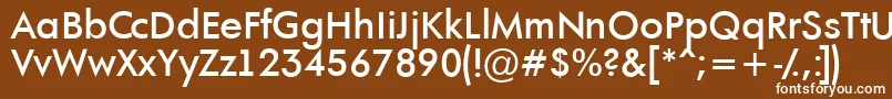 AFuturaortoltBold Font – White Fonts on Brown Background