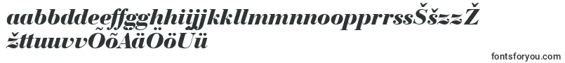BauerBodoniBlackItalicBt Font – Estonian Fonts