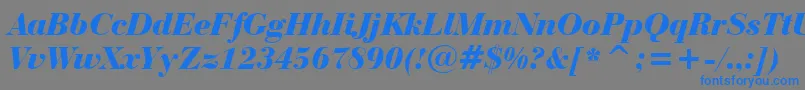 BauerBodoniBlackItalicBt Font – Blue Fonts on Gray Background