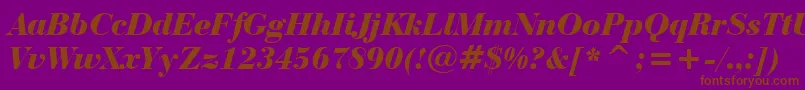 Police BauerBodoniBlackItalicBt – polices brunes sur fond violet