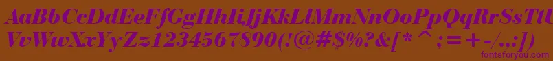BauerBodoniBlackItalicBt-Schriftart – Violette Schriften auf braunem Hintergrund