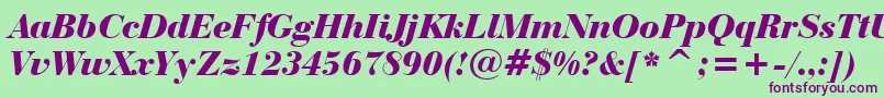 BauerBodoniBlackItalicBt-Schriftart – Violette Schriften auf grünem Hintergrund