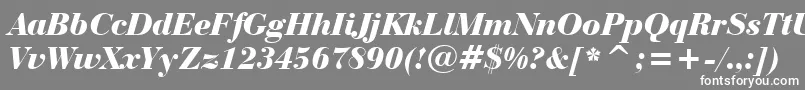 フォントBauerBodoniBlackItalicBt – 灰色の背景に白い文字