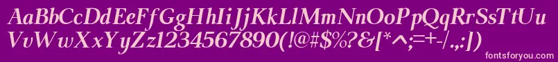 ModerataserifBoldItalic Font – Pink Fonts on Purple Background
