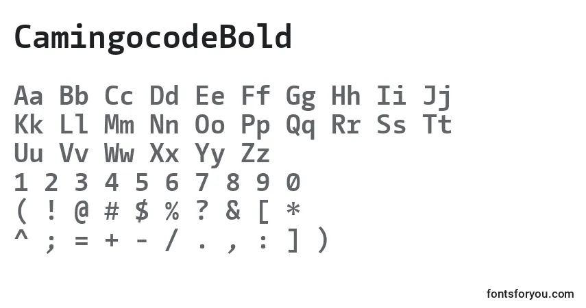 A fonte CamingocodeBold – alfabeto, números, caracteres especiais