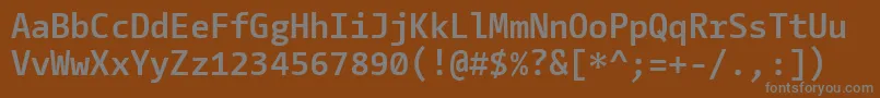 フォントCamingocodeBold – 茶色の背景に灰色の文字