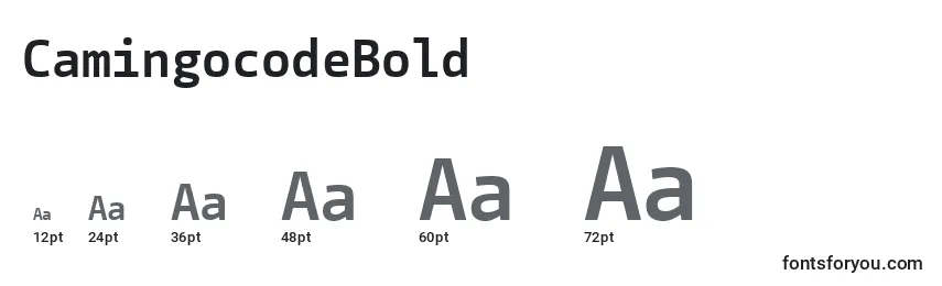 CamingocodeBold Font Sizes