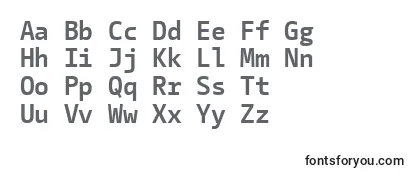 CamingocodeBold Font
