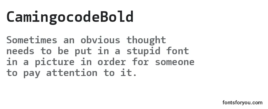 CamingocodeBold-fontti