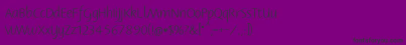 Bernerbasisschrift1 Font – Black Fonts on Purple Background