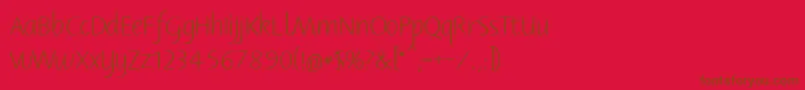 Bernerbasisschrift1 Font – Brown Fonts on Red Background