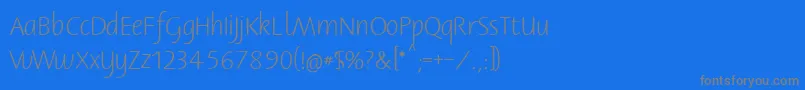 Bernerbasisschrift1 Font – Gray Fonts on Blue Background
