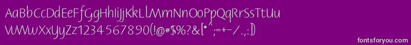 Bernerbasisschrift1 Font – Green Fonts on Purple Background