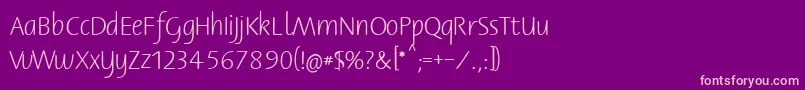 Bernerbasisschrift1 Font – Pink Fonts on Purple Background