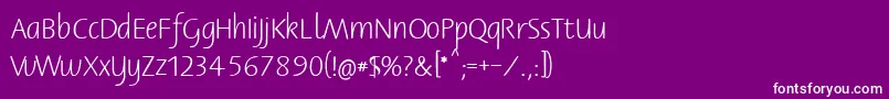 Bernerbasisschrift1 Font – White Fonts on Purple Background