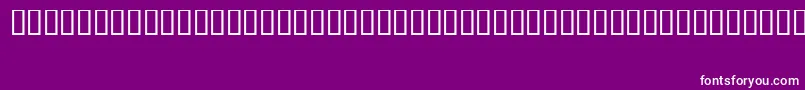 FizzoRegular Font – White Fonts on Purple Background
