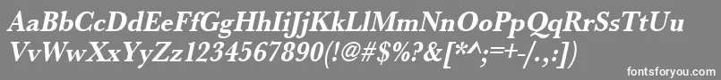 UrwbaskertextnarBoldOblique Font – White Fonts on Gray Background