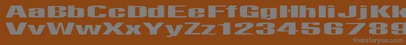 Telfor Font – Gray Fonts on Brown Background