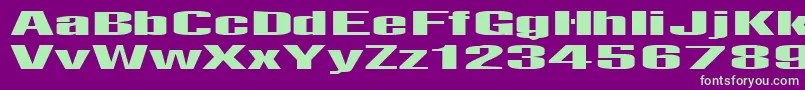 Telfor Font – Green Fonts on Purple Background