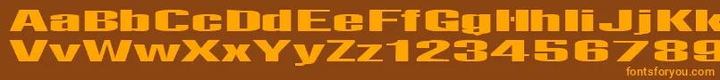 Telfor Font – Orange Fonts on Brown Background