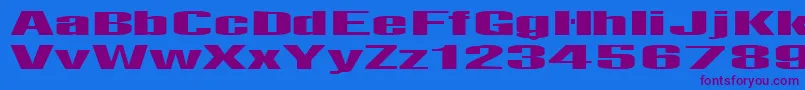 Telfor Font – Purple Fonts on Blue Background
