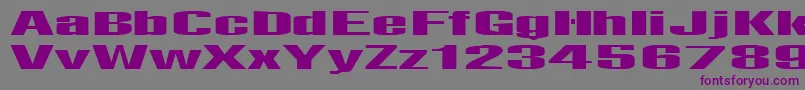 Telfor Font – Purple Fonts on Gray Background