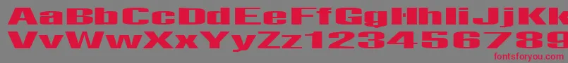 Telfor Font – Red Fonts on Gray Background