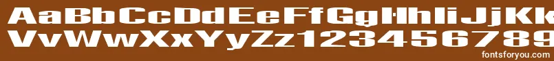 Telfor Font – White Fonts on Brown Background
