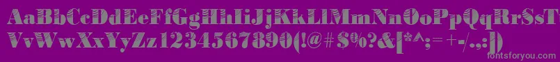 Bodoniconcentric2Regular Font – Gray Fonts on Purple Background