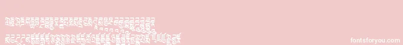 Tibetanmachineweb3 Font – White Fonts on Pink Background