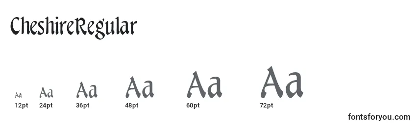 CheshireRegular Font Sizes