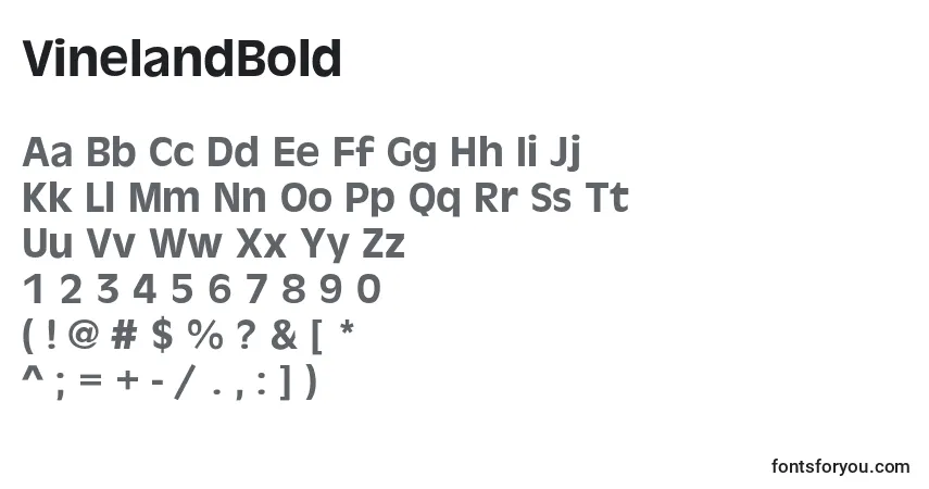 A fonte VinelandBold – alfabeto, números, caracteres especiais