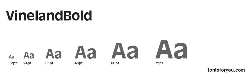 VinelandBold Font Sizes