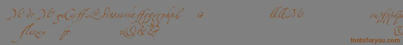 Czcionka LinotypezapfinoLigature – brązowe czcionki na szarym tle