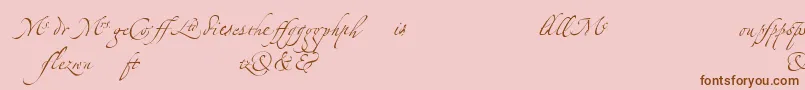 Подробнее о шрифте LinotypezapfinoLigature Шрифт LinotypezapfinoLigature – коричневые шрифты на розовом фоне