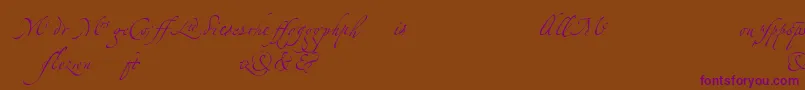 LinotypezapfinoLigature Font – Purple Fonts on Brown Background