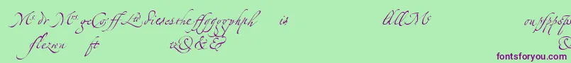 LinotypezapfinoLigature Font – Purple Fonts on Green Background
