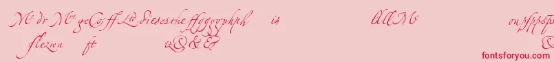 LinotypezapfinoLigature Font – Red Fonts on Pink Background