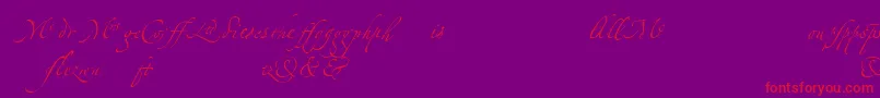 LinotypezapfinoLigature-Schriftart – Rote Schriften auf violettem Hintergrund