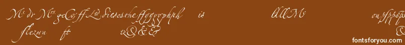 Lisätietoja LinotypezapfinoLigature-fontista LinotypezapfinoLigature-fontti – valkoiset fontit ruskealla taustalla