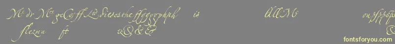 Más sobre la fuente LinotypezapfinoLigature fuente LinotypezapfinoLigature – Fuentes Amarillas Sobre Fondo Gris
