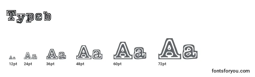 Размеры шрифта Typeb