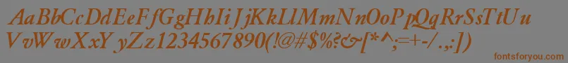 GaramondlightsskBoldItalic Font – Brown Fonts on Gray Background