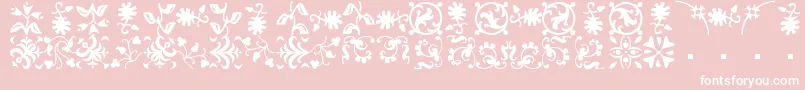 BorderbatsFleur Font – White Fonts on Pink Background