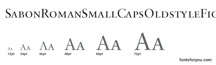 SabonRomanSmallCapsOldstyleFigures Font Sizes