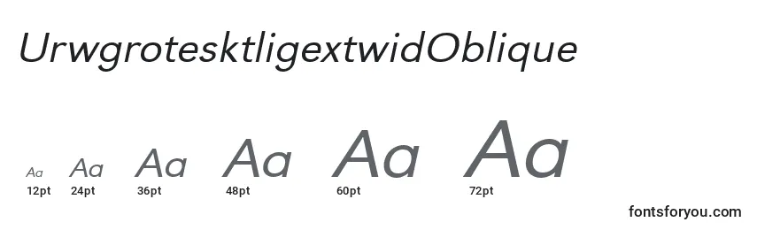 Размеры шрифта UrwgrotesktligextwidOblique