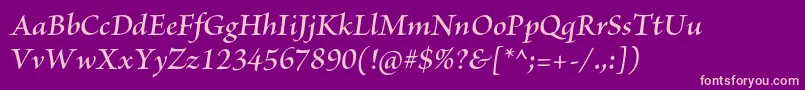 BriosoproSemibolditsubh Font – Pink Fonts on Purple Background